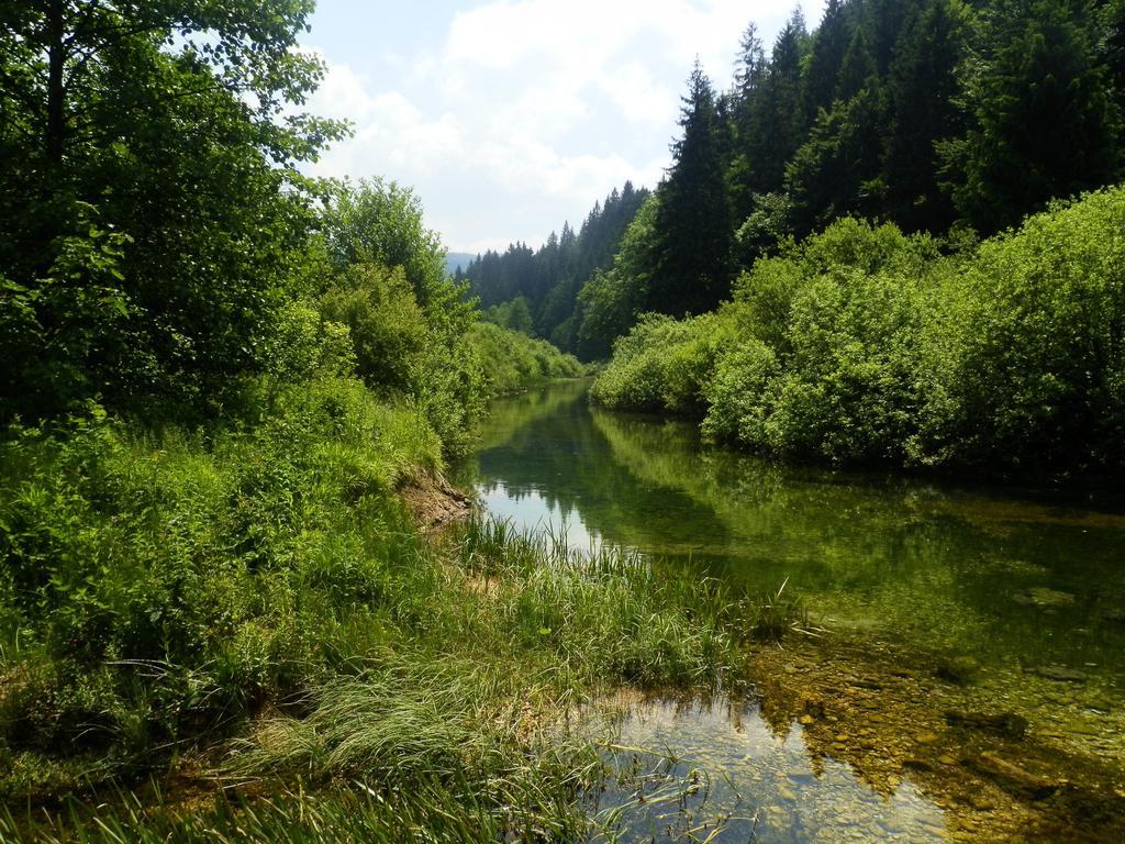 Apartment Anna Saborsko Zewnętrze zdjęcie